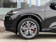 Audi Q5 III Самара  - изображение 76