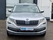 Skoda Kodiaq I Москва  - изображение 21