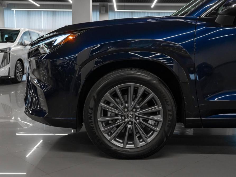 Lexus TX Москва  - изображение 26