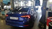 Skoda Octavia IV (A8) Санкт-Петербург  - изображение 8