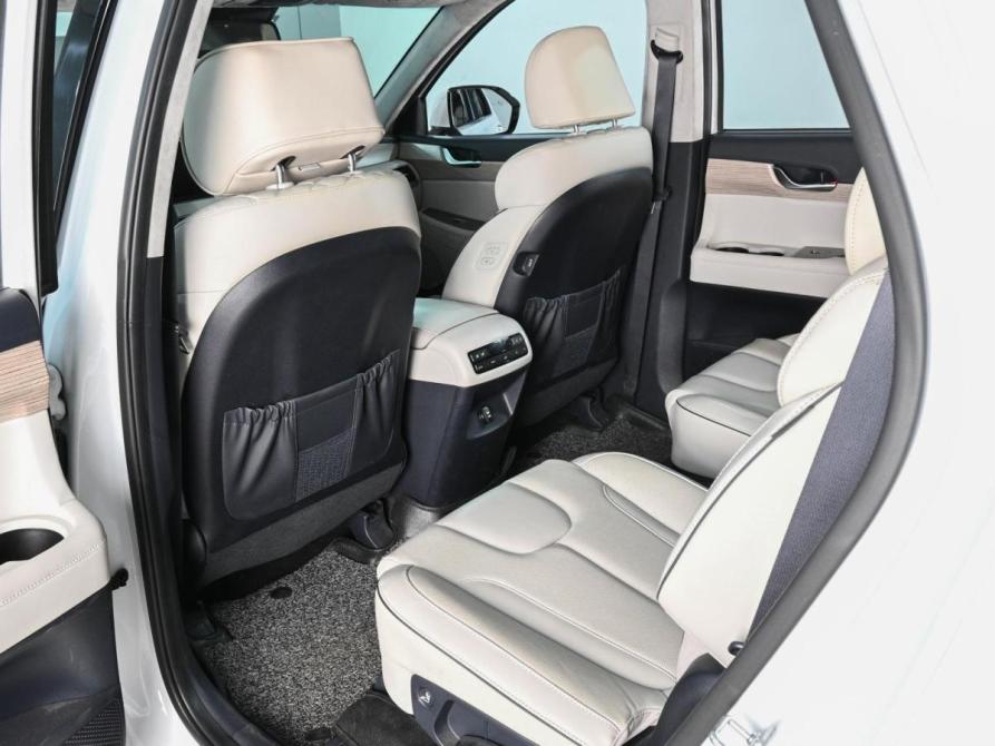 Hyundai Palisade I Ростов-на-Дону  - изображение 13