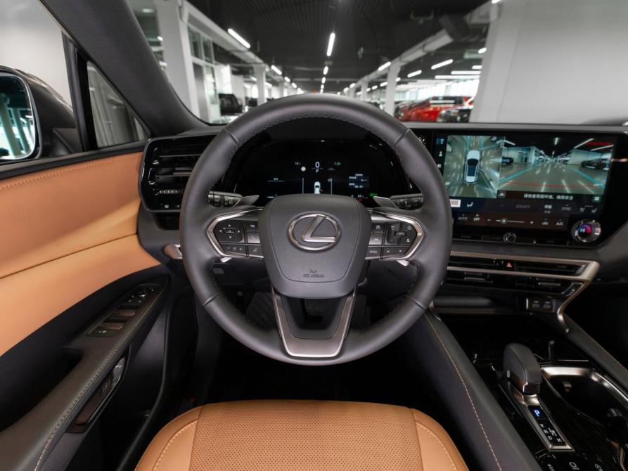 Lexus RX V Москва  - изображение 11