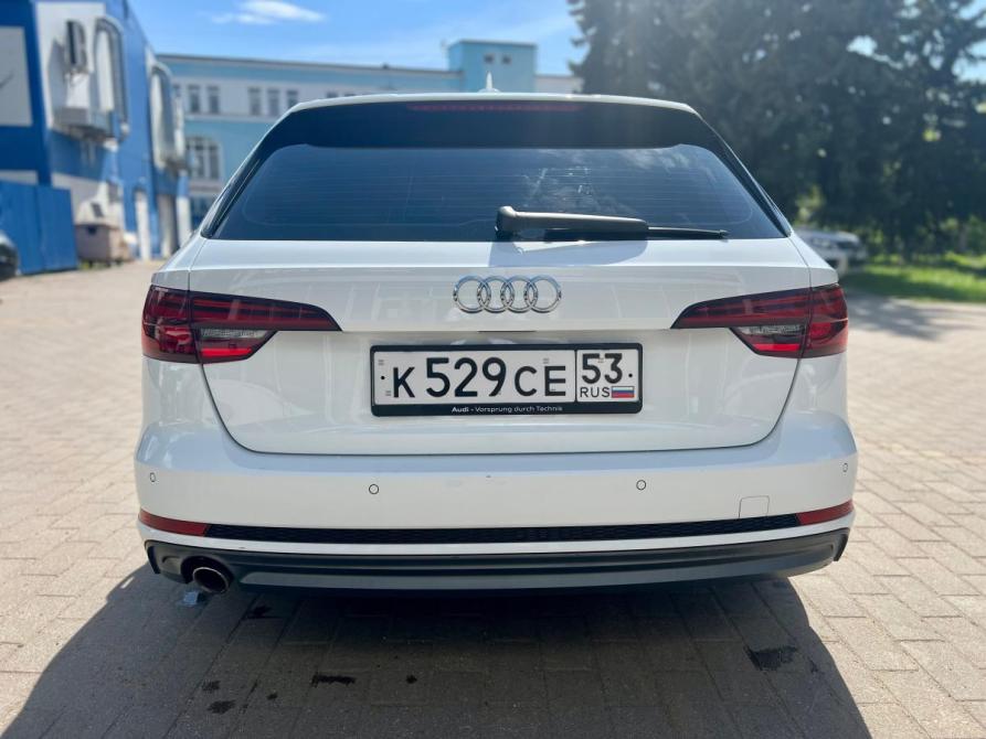 Audi A4 V (B9) Великий Новгород  - изображение 6
