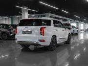 Hyundai Palisade I Москва  - изображение 38