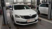 Skoda Octavia III (A7) Рестайлинг Санкт-Петербург  - изображение 7