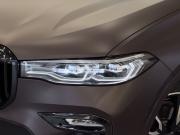 BMW X7 I (G07) Воронеж  - изображение 44