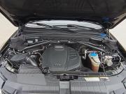 Audi Q5 I (8R) Рестайлинг Санкт-Петербург  - изображение 35