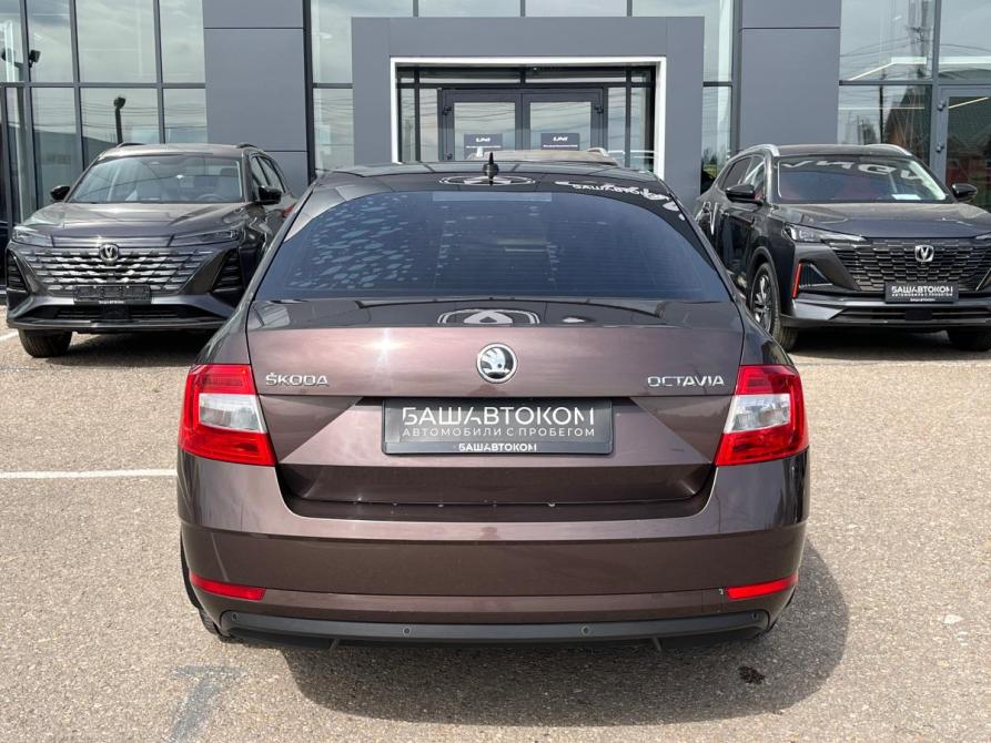 Skoda Octavia III (A7) Рестайлинг Октябрьский  - изображение 6