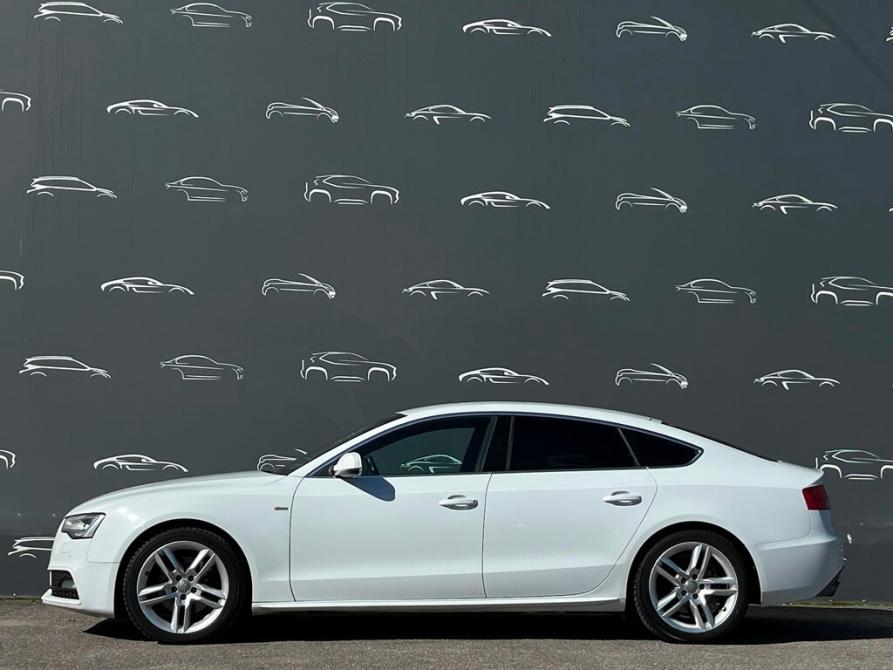 Audi A5 I (8T) Рестайлинг Санкт-Петербург  - изображение 14