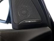 BMW X7 I (G07) Москва  - изображение 60