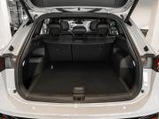 Volkswagen Tiguan III (China Market) Москва  - изображение 62