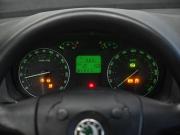 Skoda Octavia II (A5) Челябинск  - изображение 46