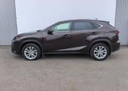 Lexus NX I Санкт-Петербург  - изображение 28