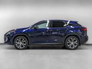 Lexus RX IV Москва  - изображение 38