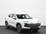 JETOUR DASHING I Москва  - изображение 16
