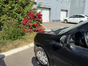 Lada (ВАЗ) Granta I Рестайлинг Воронеж  - изображение 10
