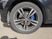 BMW X7 I (G07) Москва  - изображение 42