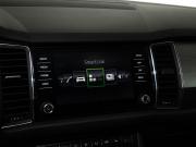 Skoda Kodiaq I Казань  - изображение 29
