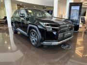 Toyota RAV4 VI (XA60) Казань  - изображение 25