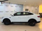 Renault Arkana I Москва  - изображение 25