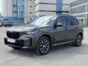 BMW X5 IV (G05/G18) Рестайлинг Казань  - изображение 37