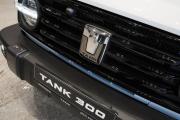 Tank 300 I Санкт-Петербург  - изображение 18