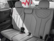 Hyundai Palisade I Екатеринбург  - изображение 64