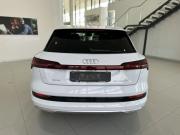Audi e-tron I Владимир  - изображение 28