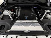 BMW X4 II (G02) Москва  - изображение 40