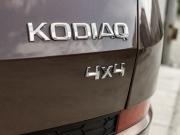 Skoda Kodiaq I Екатеринбург  - изображение 48
