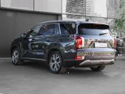 Hyundai Palisade I Москва  - изображение 45