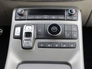 Hyundai Palisade I Москва  - изображение 43