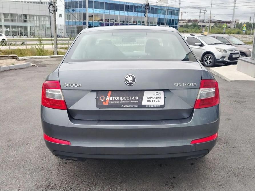 Skoda Octavia III (A7) Пермь  - изображение 6