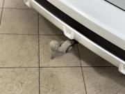 BMW X5 IV (G05/G18) Санкт-Петербург  - изображение 53