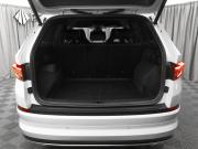 Skoda Kodiaq I Рестайлинг Москва  - изображение 62