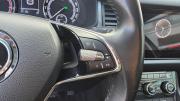 Skoda Kodiaq I Санкт-Петербург  - изображение 27