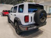 Tank 300 I Тольятти  - изображение 28