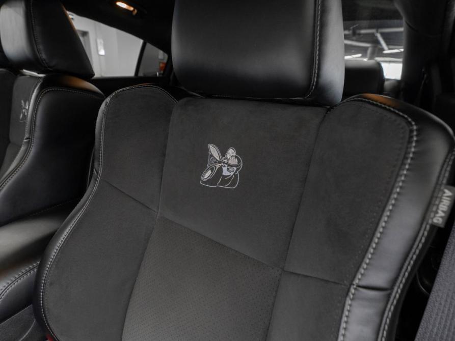 Dodge Charger VII (LD) Рестайлинг Москва  - изображение 10
