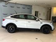 Renault Arkana I Москва  - изображение 21