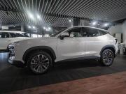 JETOUR DASHING I Москва  - изображение 18