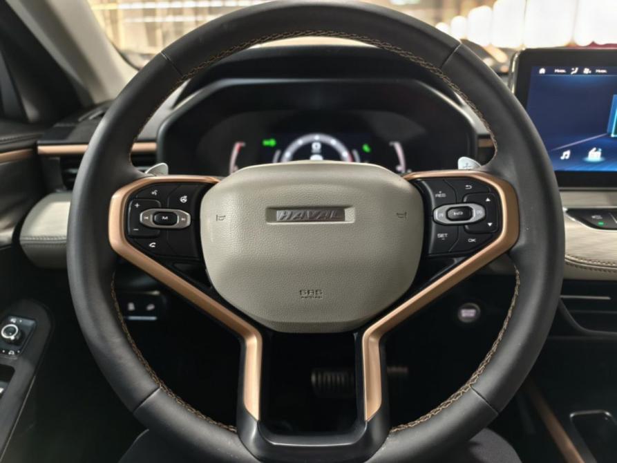 Haval Jolion I Курск  - изображение 11
