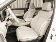 Hyundai Palisade I Рестайлинг Москва  - изображение 41