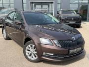 Skoda Octavia III (A7) Рестайлинг Октябрьский  - изображение 20