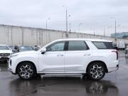Hyundai Palisade I Москва  - изображение 37