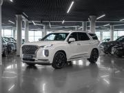 Hyundai Palisade I Москва  - изображение 34