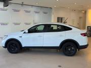 Renault Arkana I Москва  - изображение 25