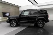 Tank 300 I Москва  - изображение 19