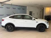 Renault Arkana I Москва  - изображение 21