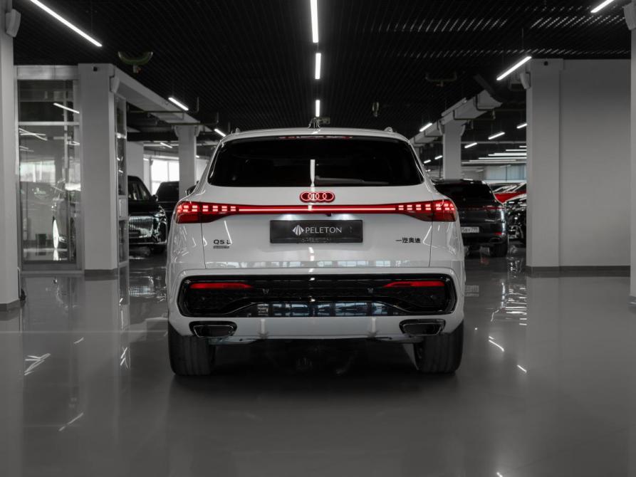 Audi Q5 III (GU) Москва  - изображение 6