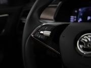 Skoda Kodiaq I Рестайлинг Санкт-Петербург  - изображение 39